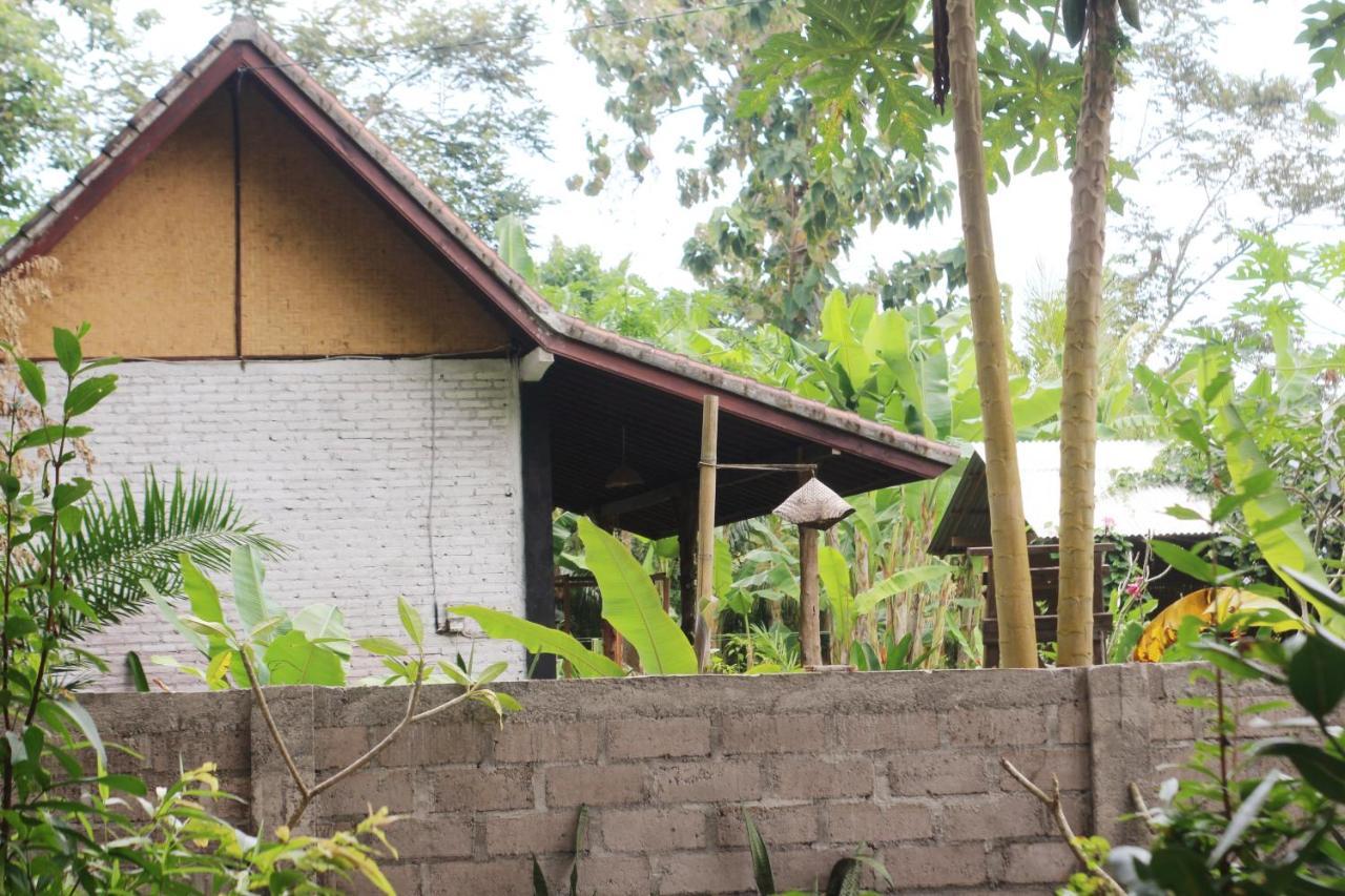Jungle House - Surf & Stay Pulukan Exterior foto